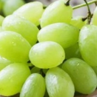 Paquete 100 uvas