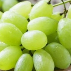 Blusun Services_Paquete 100 uvas